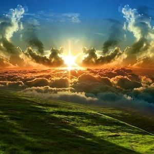 Meet your Posher, Tony